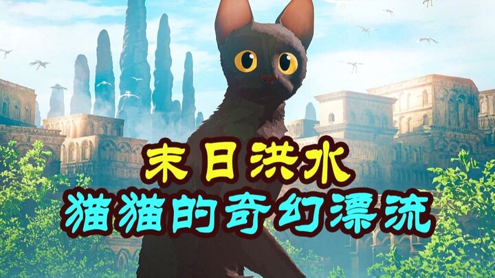 ทั้งเรื่องไม่มีบทพูด นักแสดงล้วนเป็นสัตว์ แอนิเมชันรางวัลออสการ์ "แมวน้อยผจญภัยล่องลอย"