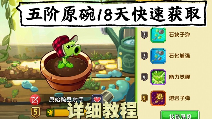 Newbies, look here! Here’s a 18-day guide to quickly get a Tier-5 Primordial Pea!