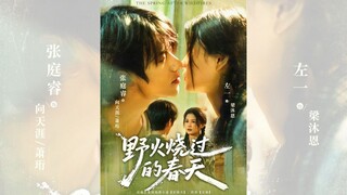 MÙA XUÂN BỊ THIÊU ĐỐT BỞI NGỌN LỬA HOANG