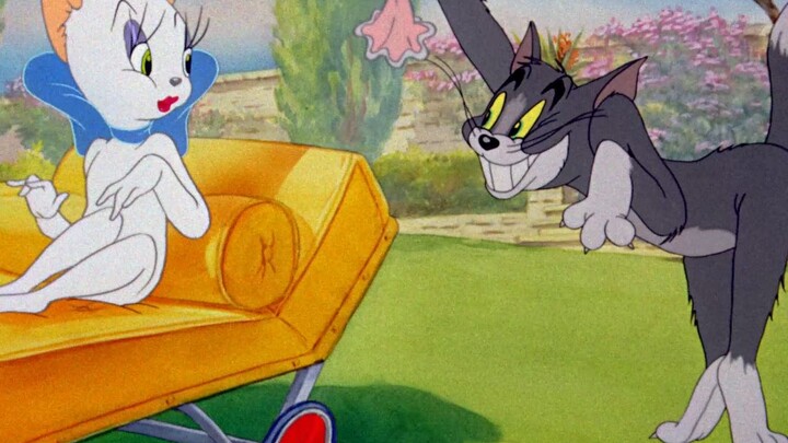 Kendala abadi Tom Cat di jalan cinta