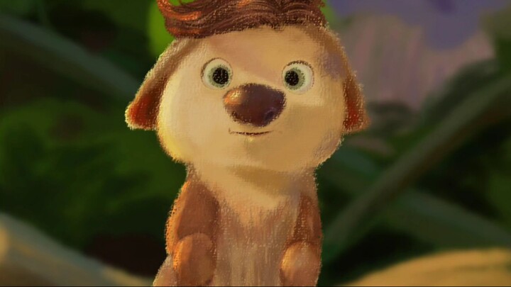Ollie Si Hewan Kecil Penuh Rasa Ingin Tahu | Swapped