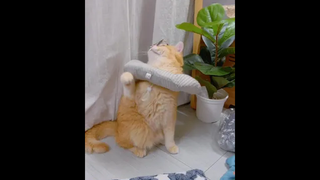 ป๋มไม่ชอบแว่นนน