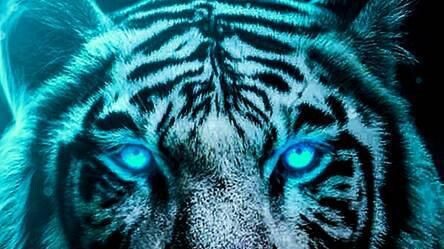 is my skills good? Rate it 1-10