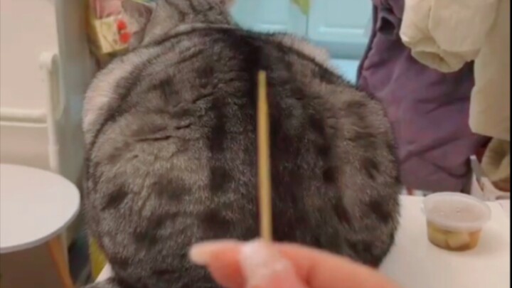 Bàn về tầm quan trọng của việc quản lý vóc dáng