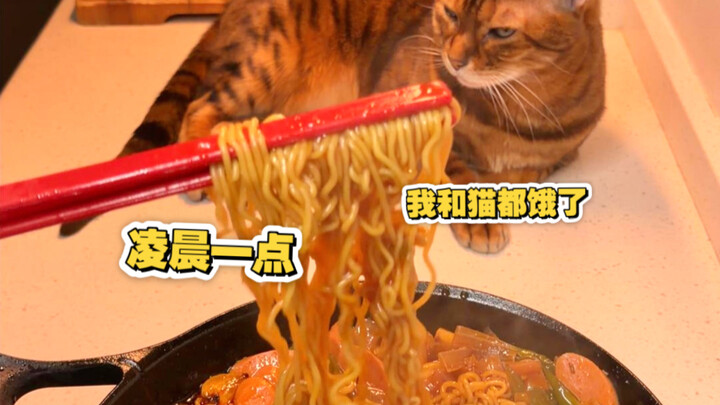 It’s one in the morning, and both my cat and I are hungry!