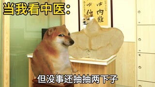 当我看西医和中医的区别