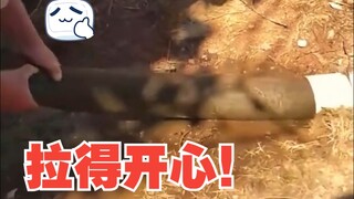Video dekompresi hari ini: seri mekanis yang menakjubkan~