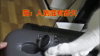 人：猫到底有多欠