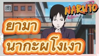 ยามานากะผู้โง่เง่า