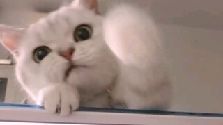 يظهر طفلك الصغير اللطيف فجأة!