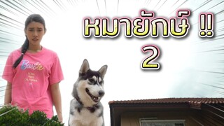 หมายักษ์ #2 !! พี่ดรีมก็เป็นยักษ์ไปด้วย - DING DONG DAD