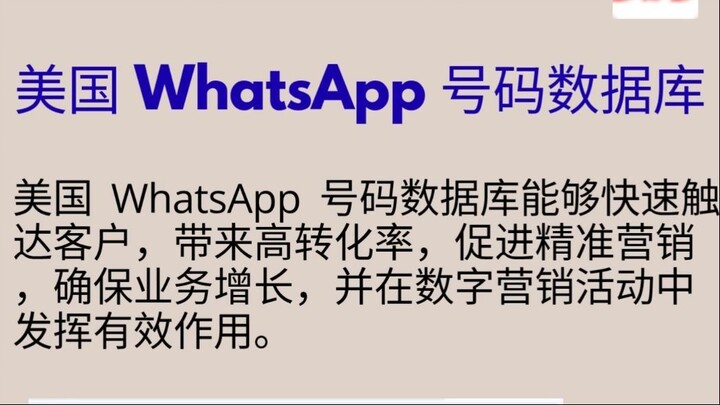 美国 WhatsApp 号码数据库