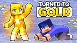 Aphmau TURNED TO GOLD in Minecraft!