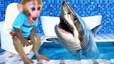 Monkey Baby Bon Bon meets a shark in the toilet and eats a lollipop with ducklings in the garden
