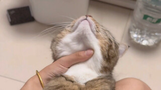 If you knew how soft and cuddly my puppy is, you'd definitely be jealous of me!