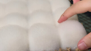 The young lady said my moldy tofu was so cute, and insisted on touching it!