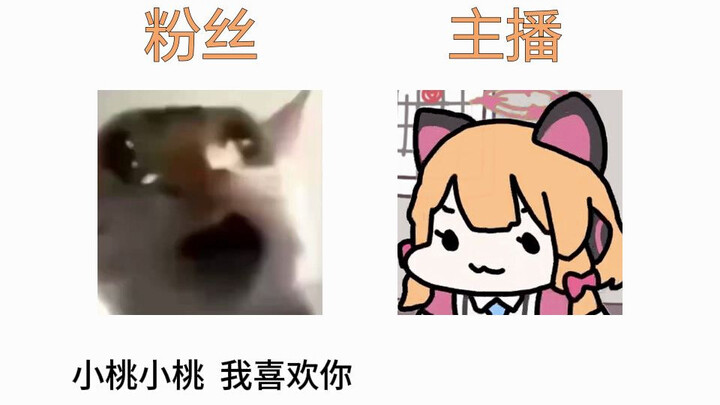 小桃小桃，我喜欢你，不要取关我。【倒反天罡】