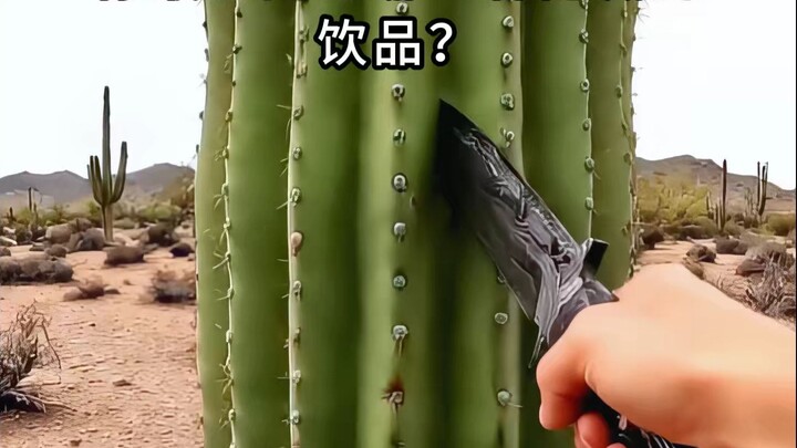 Bạn bị mắc kẹt trong rừng 3 ngày, đồ uống bí mật nào bạn mong tìm thấy nhất? ASMR