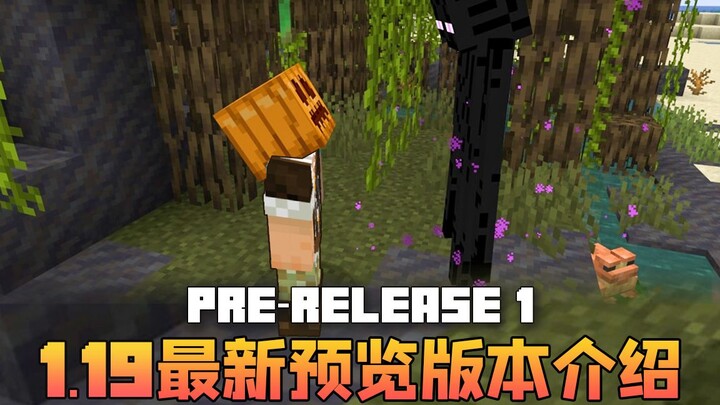 ★ มายคราฟ ★ แนะนำเวอร์ชันล่าสุด Pre-1 1.19 ของจื่อหมิน