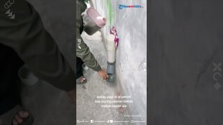 Baik Banget! Wanita Ini Selalu Sediakan Makanan Buat Kucing Liar Setiap Hari