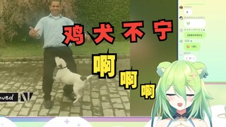 日本金金熊看《此曲一响非死即伤》幻肢发出了悲鸣