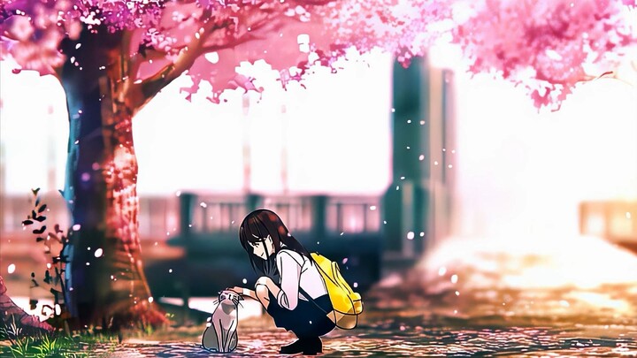 转瞬即逝