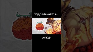 วิญญาณในผลปีศาจ... | วันพีซ | One Piece