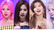 【TWICE】The most viewed straight shots of each member