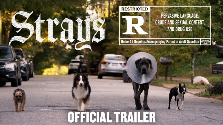 The Strays _ Official Trailer