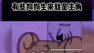 有些狗狗生来就是主角啊