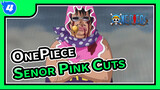 OnePiece
Senor Pink Cuts_4