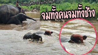 น้องบุญศรีเล่นน้ำจมน้ำทั้งคนทั้งช้าง555
