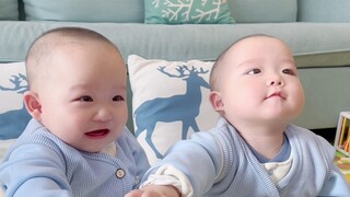 ฉันได้ยินมาว่าทุกคนชอบดู Tuantuan และ Yuanyuan ล้างหน้า ถูหน้า และให้คนอื่นถูหน้าเหรอ?