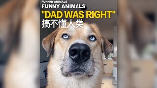 搞不懂人类！
