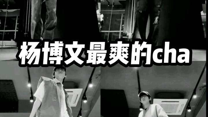 【Yang Bowen】The Ultimate Collection