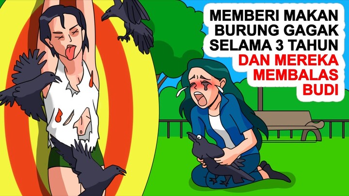 Memberi Makan Burung Gagak Selama 3 Tahun Dan Mereka Membalas Budi