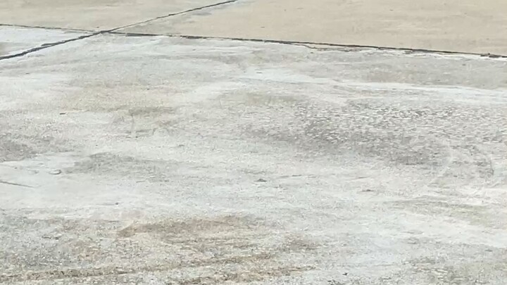 หมาเต้าหู้🐶