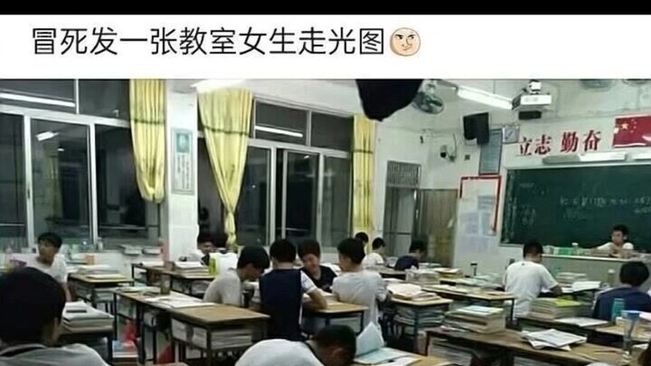 趣图4