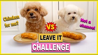 LEAVING MY DOGS WITH A WHOLE CHICKEN STRIP- Leave it Challenge for dogs| The Poodle Mom