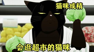 七月新番：猫咪自己出门逛超市，女主被上司发现家里是垃圾堆