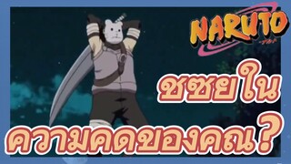 ชิซุยในความคิดของคุณ?