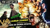 Jamur Zombie The Last Of Us Ternyata Ada di Dunia Nyata !! Indonesia Aman ??