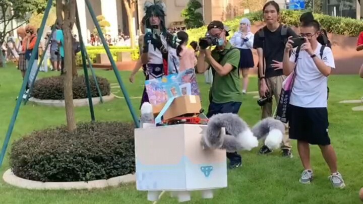 It's said that a flying Kirara was caught at the comic convention! The express delivery is about to 