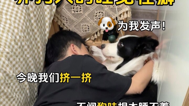 Weird Sleep Habits of Dog Owners