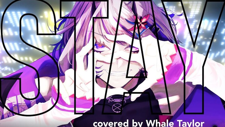 【翻唱】Stay【Whale Taylor】