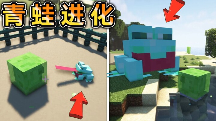 What if MC added several kinds of frogs? And what about an evolving, growable frog?