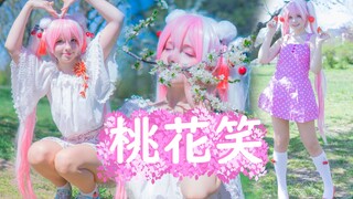 【Saya Scarlet】桃花笑 ☆ 甜蜜的舞蹈为你的微笑❤