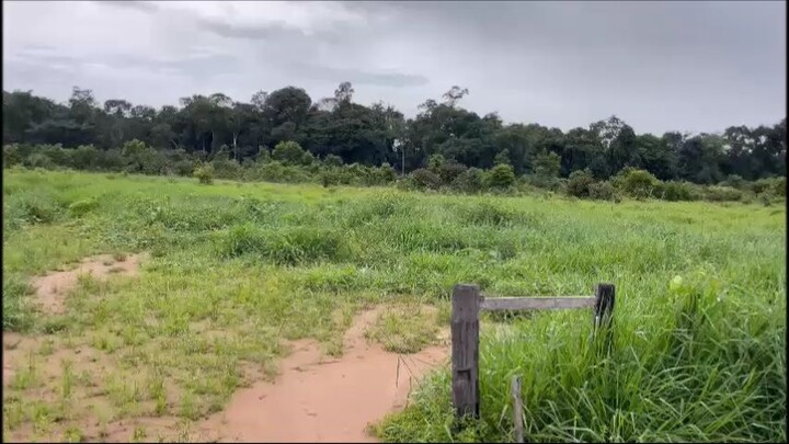 FAZENDA  COM 384 ALQUEIRÃO A VENDA cm