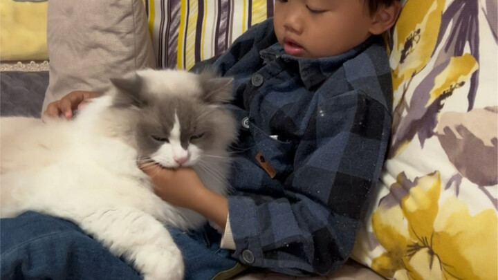 My cat suddenly bit the baby, but the baby calmly saved himself... In the end, the cat had no choice