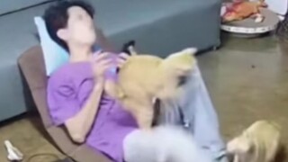 Kucing: Ternyata kamu masih bisa merasakan sakit ya, aku kira kamu tidak tahu.